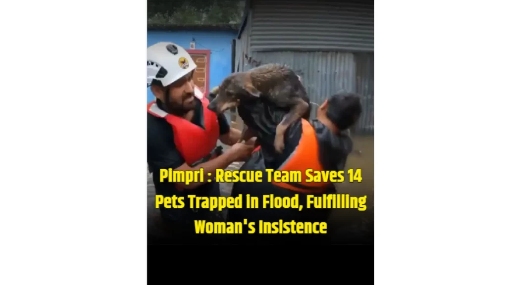 Heroic Rescue in Pimpri-Chinchwad