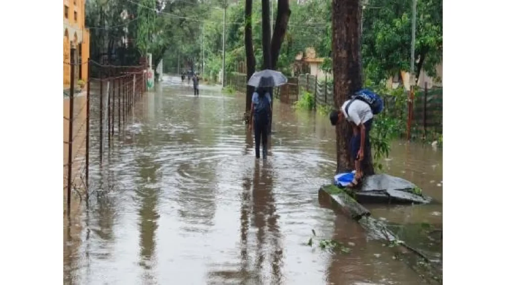 Lonavala Rainfall