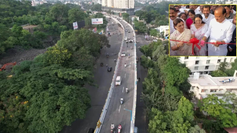 Sinhagad Road Flyover