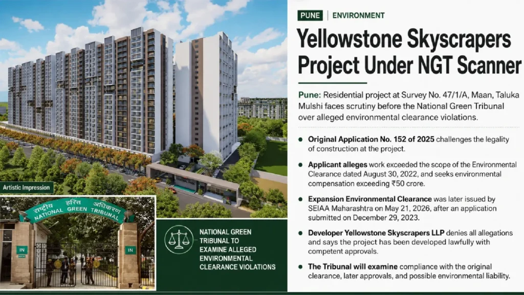 Yellowstone Skyscrapers NGT case