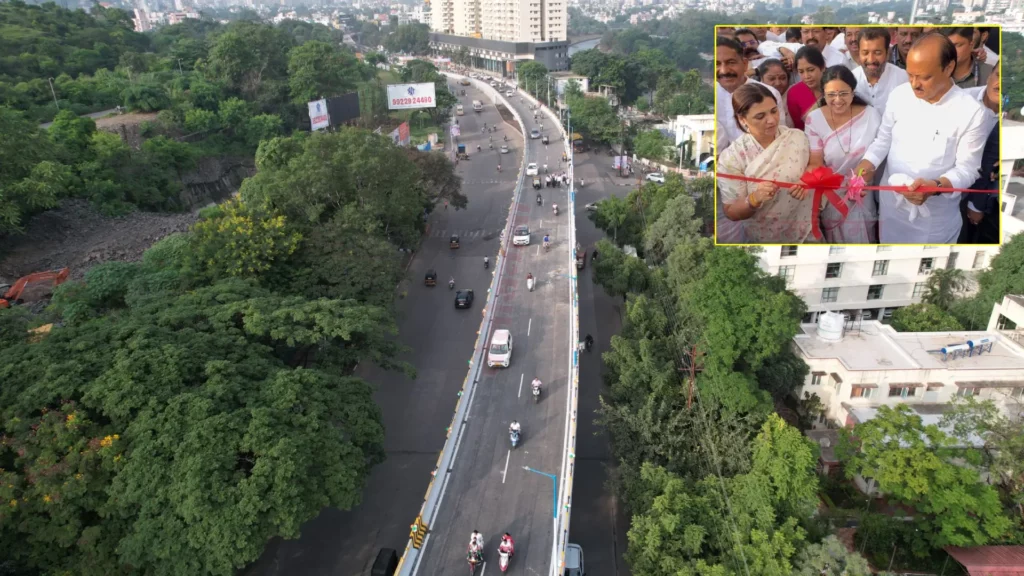 Sinhagad Road Flyover